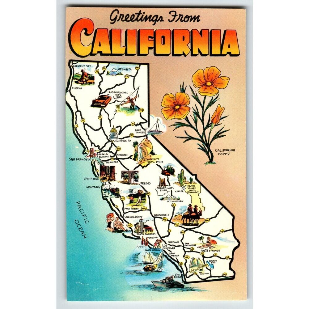 Postcard Greetings From California Map Chrome Unposted Poppy Flower Ocean Boats